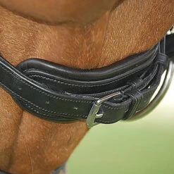 Hoofdstel Dy'on DRC Mat Black-black 11 Hoofdstel Dy'on DRC Mat Black-black -Default Template 3 hoofdstel dy on drc mat black black 1500x1500 101407