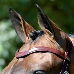 Hoofdstel Dy'on DRC Matte Medium Crank Noseband Bruin -Default Template 3 hoofdstel dy on drc matte medium crank noseband bruin 1500x1500 141534