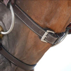 Hoofdstel Dy'on WC Classic Flash Bruin -Default Template 3 hoofdstel dy on wc classic flash bruin 1500x1500 101438