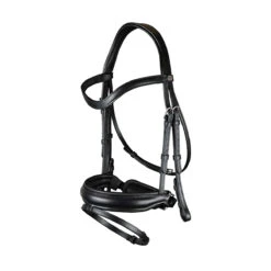 Hoofdstel Dy'on Working Collection Mat Large Crank With Flash Zwart