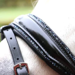 Hoofdstel HB Showtime Special A-Pony Black-blue -Default Template 3 hoofdstel hb showtime special a pony black blue 1500x1500 183320