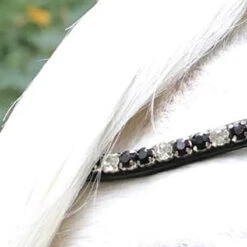 Hoofdstel HB Showtime Special A-Pony Zwart-rood -Default Template 3 hoofdstel hb showtime special a pony zwart rood 1500x1500 183326