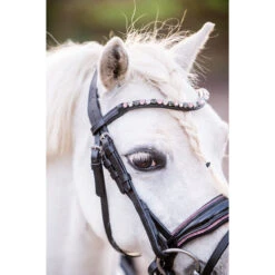 Hoofdstel HB Showtime Special A-Pony Zwart-roze -Default Template 3 hoofdstel hb showtime special a pony zwart roze 1500x1500 183323