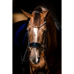 Hoofdstel HB Special Guy Zwart -Default Template 3 hoofdstel hb special guy zwart 1500x1500 146333