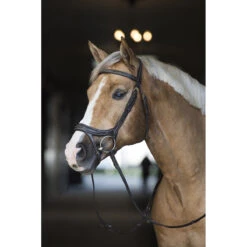 Hoofdstel Horsegear Nexus Bruin-goud -Default Template 3 hoofdstel horsegear nexus bruin goud 1500x1500 115803