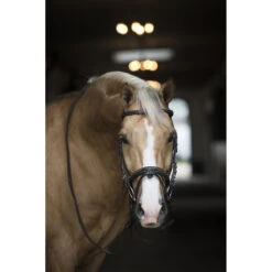 Hoofdstel Horsegear Taron Bruin -Default Template 3 hoofdstel horsegear taron bruin 1500x1500 119254