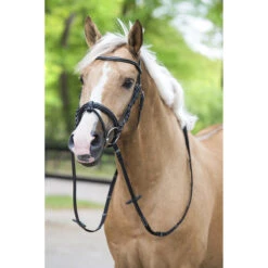Hoofdstel Horsegear Taron Zwart -Default Template 3 hoofdstel horsegear taron zwart 1500x1500 119249