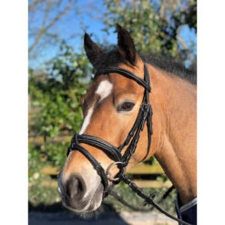 Hoofdstel Horsegear Taron Zwart -Default Template 3 hoofdstel horsegear taron zwart 1500x1500 119250