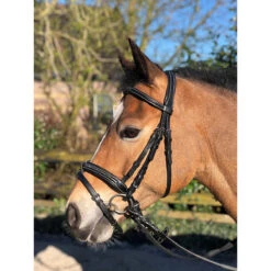 Hoofdstel Horsegear Taron Zwart -Default Template 3 hoofdstel horsegear taron zwart 1500x1500 119251