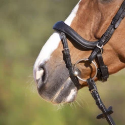 Hoofdstel Kieffer Ultrasoft Amy Zwart -Default Template 3 hoofdstel kieffer ultrasoft amy zwart 1500x1500 116752