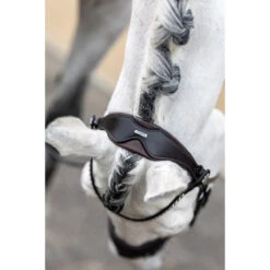 Hoofdstel LeMieux Classic Dressage Bruin -Default Template 3 hoofdstel lemieux classic dressage bruin 1500x1500 163543