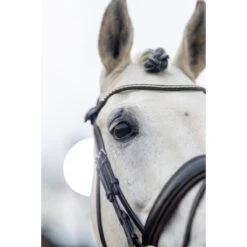 Hoofdstel LeMieux Classic Dressage Bruin -Default Template 3 hoofdstel lemieux classic dressage bruin 1500x1500 163545