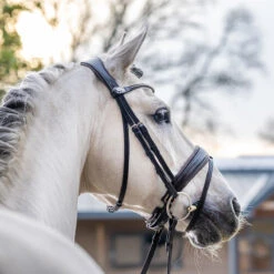 Hoofdstel LeMieux Classic Dressage Bruin -Default Template 3 hoofdstel lemieux classic dressage bruin 1500x1500 163546