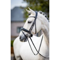 Hoofdstel LeMieux Classic Dressage Zwart -Default Template 3 hoofdstel lemieux classic dressage zwart 1500x1500 163534
