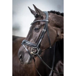 Hoofdstel LeMieux Classic Dressage Zwart -Default Template 3 hoofdstel lemieux classic dressage zwart 1500x1500 163540