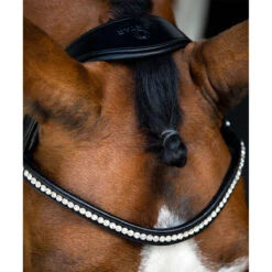 Hoofdstel Montar Fair Zwart -Default Template 3 hoofdstel montar fair zwart 1500x1500 157932