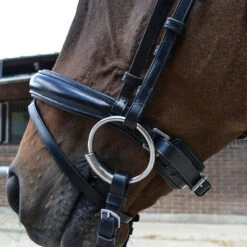 Hoofdstel Montar Fair Zwart -Default Template 3 hoofdstel montar fair zwart 1500x1500 157934