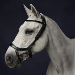 Hoofdstel PresTeq Fay Sport Zwart