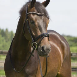 Hoofdstel QHP Amor Zwart-roze -Default Template 3 hoofdstel qhp amor zwart roze 1500x1500 114888