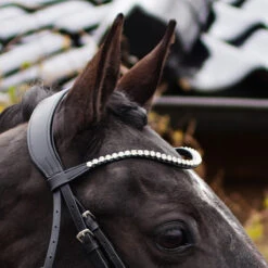 Hoofdstel QHP Nehza Zwart -Default Template 3 hoofdstel qhp nehza zwart 1500x1500 139580