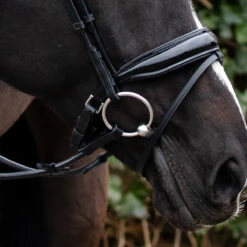 Hoofdstel QHP Nehza Zwart -Default Template 3 hoofdstel qhp nehza zwart 1500x1500 139581