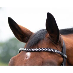 Hoofdstel QHP Orlando Zwart 10 Hoofdstel QHP Orlando Zwart -Default Template 3 hoofdstel qhp orlando zwart 1500x1500 148521