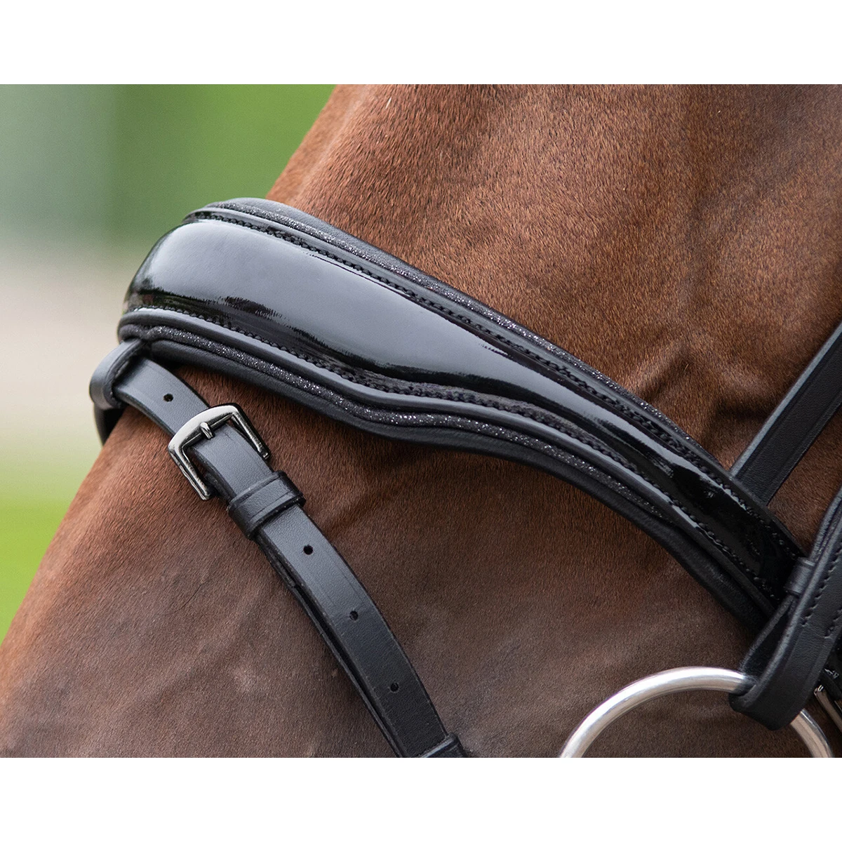 Hoofdstel QHP Orlando Zwart 4 Hoofdstel QHP Orlando Zwart - Afbeelding 4