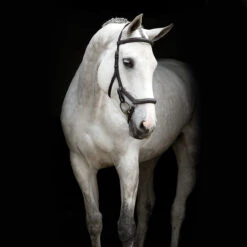 Hoofdstel Rambo Micklem Deluxe Donkerbruin -Default Template 3 hoofdstel rambo micklem deluxe donkerbruin 1500x1500 114180