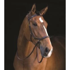 Hoofdstel Rambo Micklem Multi Bridle Bruin -Default Template 3 hoofdstel rambo micklem multi bridle bruin 1500x1500 108439