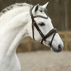 Hoofdstel SKØL Dyrt Donkerbruin -Default Template 3 hoofdstel skol dyrt donkerbruin 1500x1500 184686