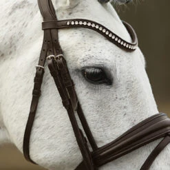 Hoofdstel SKØL Dyrt Donkerbruin -Default Template 3 hoofdstel skol dyrt donkerbruin 1500x1500 184687