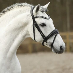 Hoofdstel SKØL Dyrt Zwart -Default Template 3 hoofdstel skol dyrt zwart 1500x1500 183683