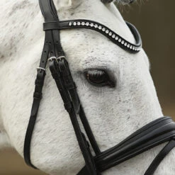 Hoofdstel SKØL Dyrt Zwart -Default Template 3 hoofdstel skol dyrt zwart 1500x1500 183684