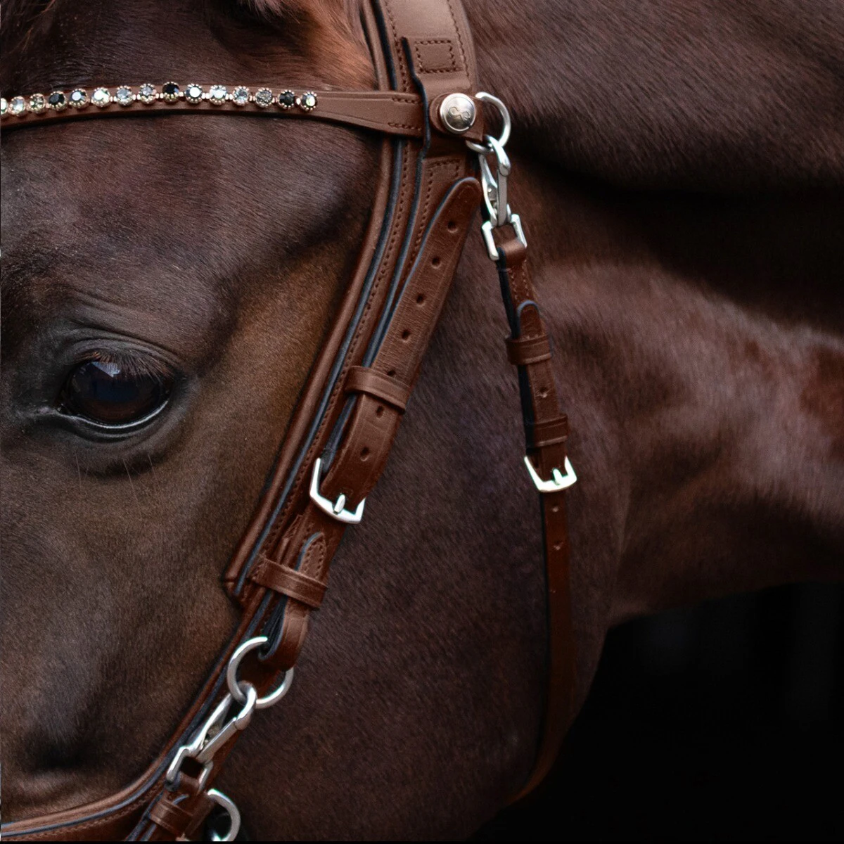 Keelriem PresTeq FaySport Bruin 1 Keelriem PresTeq FaySport Bruin