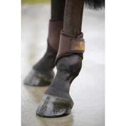 Kogelbeschermers Kentucky 3D Spacer Hind Short Bruin -Default Template 3 kogelbeschermers kentucky 3d spacer hind short bruin 1500x1500 137481