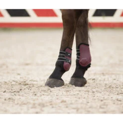 Kogelbeschermers QHP Champion Donkerrood 11 Kogelbeschermers QHP Champion Donkerrood -Default Template 3 kogelbeschermers qhp champion donkerrood 1500x1500 124233