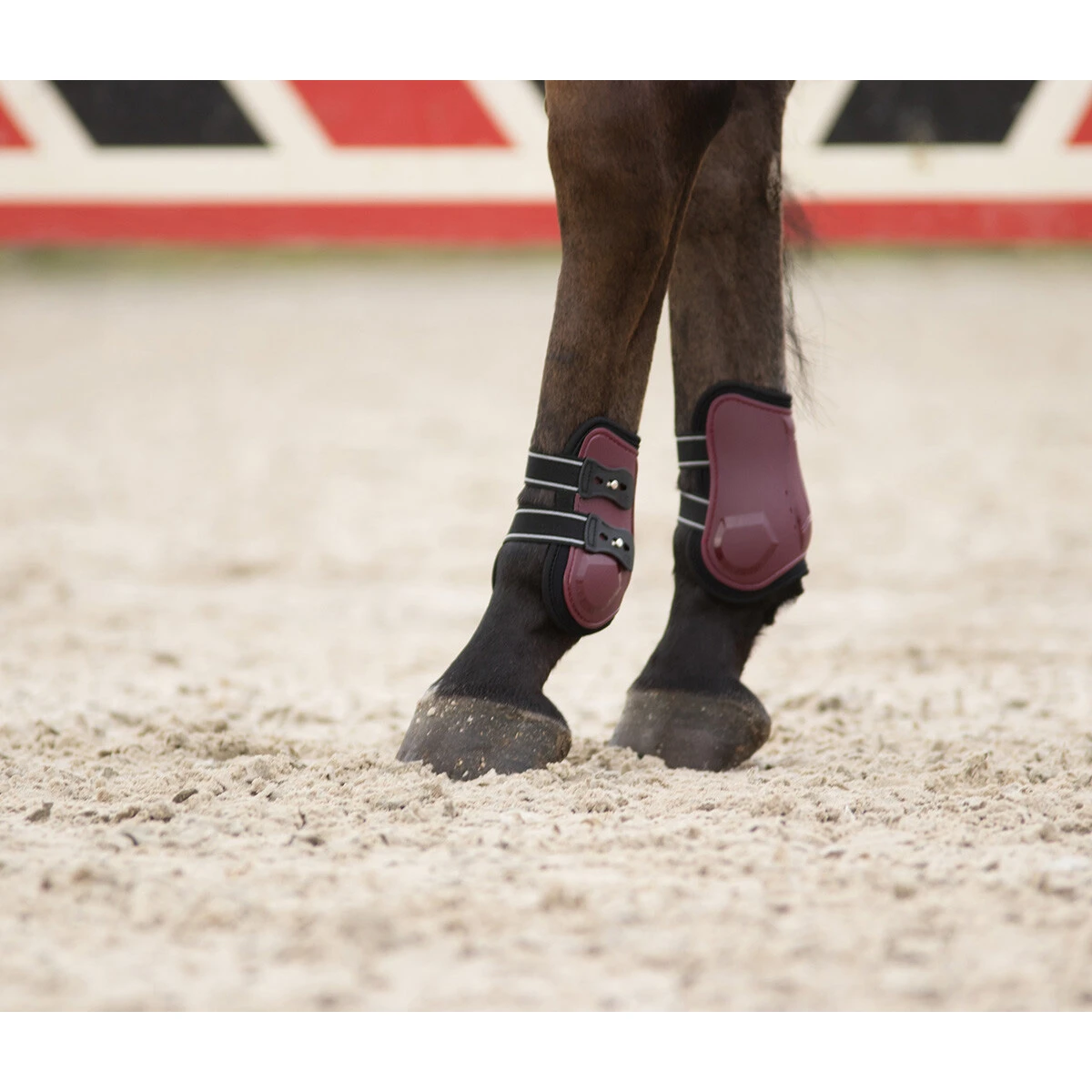 Kogelbeschermers QHP Champion Donkerrood 6 Kogelbeschermers QHP Champion Donkerrood - Afbeelding 6