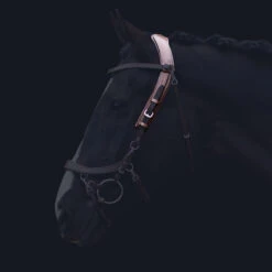 Kopstuk PresTeq FaySport Bruin -Default Template 3 kopstuk presteq faysport bruin 1500x1500 130564