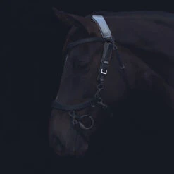 Kopstuk PresTeq FaySport Zwart -Default Template 3 kopstuk presteq faysport zwart 1500x1500 130558