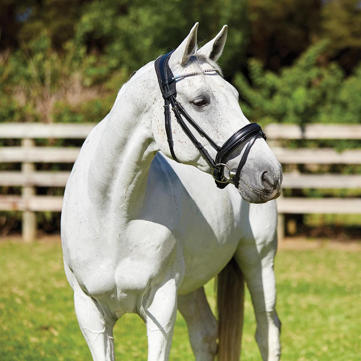 Kopstuk WeatherBeeta Therapy-Tec Anatomical Zwart-rood 2 Kopstuk WeatherBeeta Therapy-Tec Anatomical Zwart-rood - Afbeelding 2