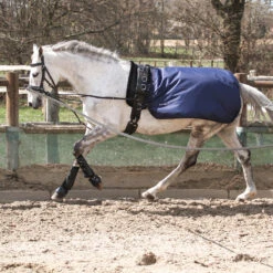 Longeerdeken Busse Rain Donkerblauw -Default Template 3 longeerdeken busse rain donkerblauw 1500x1500 134397