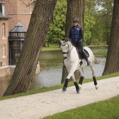 Onderbandages Kentucky Absorb Donkerblauw -Default Template 3 onderbandages kentucky absorb donkerblauw 1500x1500 137459