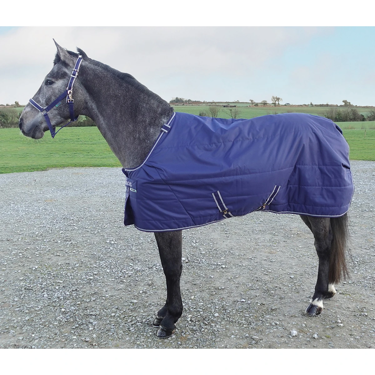 Onderdeken Bucas Quilt Silk Feel 150gr Donkerblauw 4 Onderdeken Bucas Quilt Silk Feel 150gr Donkerblauw - Afbeelding 4