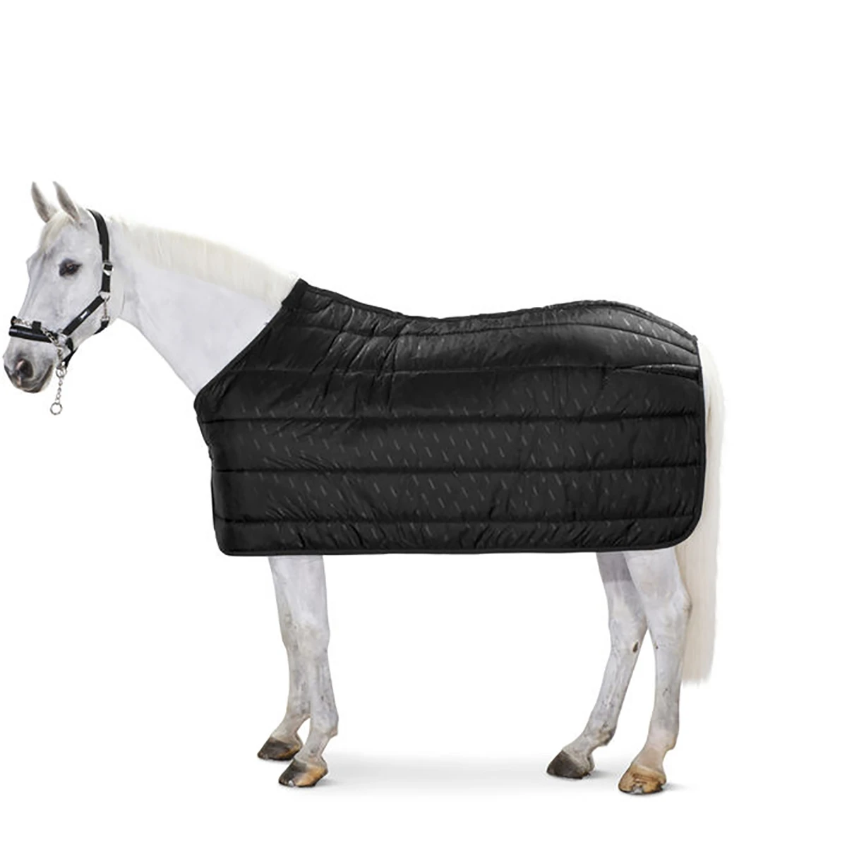 Onderdeken Eskadron Poly 220gr Zwart 1 Onderdeken Eskadron Poly 220gr Zwart