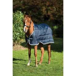 Onderdeken Horseware Pony Liner 100gr Donkerblauw-zilver -Default Template 3 onderdeken horseware pony liner 100gr donkerblauw zilver 1500x1500 133016