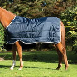 Onderdeken Horseware Pony Liner 200gr Donkerblauw-zilver -Default Template 3 onderdeken horseware pony liner 200gr donkerblauw zilver 1500x1500 133021