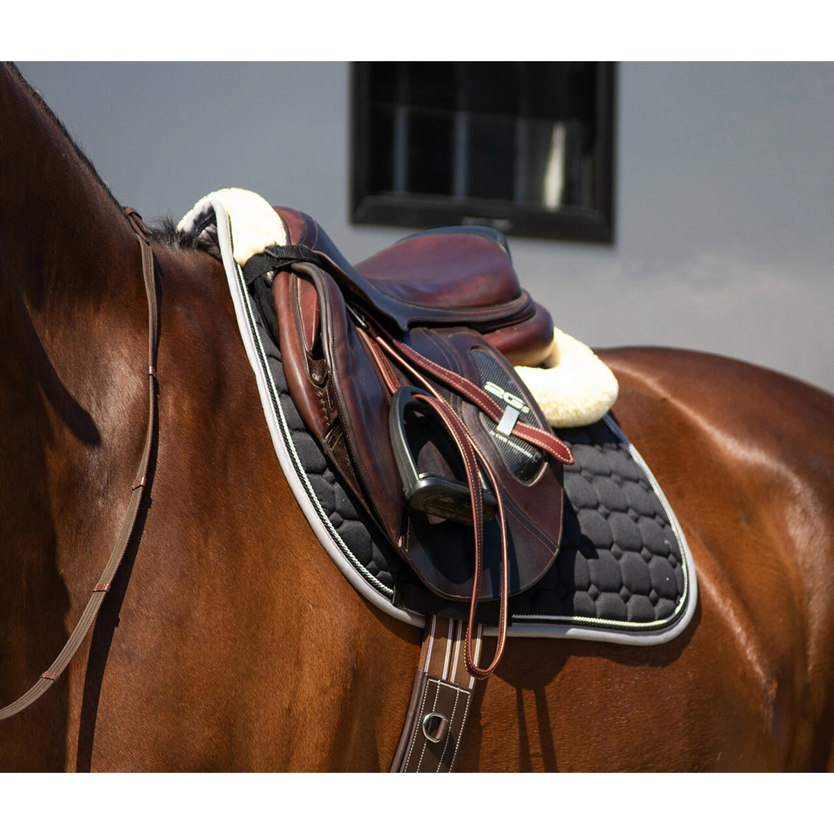 Onderlegger QHP Ontario Zwart 3 Onderlegger QHP Ontario Zwart - Afbeelding 3