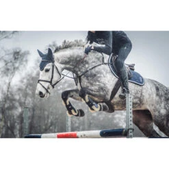 Oornetje Epplejeck Glitter Donkerblauw -Default Template 3 oornetje epplejeck glitter donkerblauw 1500x1500 110446