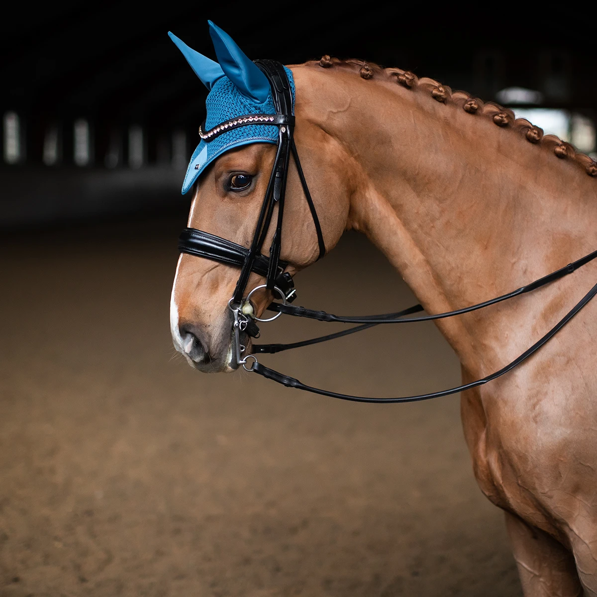 Oornetje Equestrian Stockholm Amalfi Coast Blauw 2 Oornetje Equestrian Stockholm Amalfi Coast Blauw - Afbeelding 2