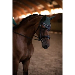Oornetje Equestrian Stockholm Sportive Sycamore Green Groen -Default Template 3 oornetje equestrian stockholm sportive sycamore green groen 1500x1500 173970